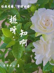 栀子花的约定